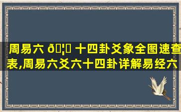 周易六 🦉 十四卦爻象全图速查表,周易六爻六十四卦详解易经六十四卦详解